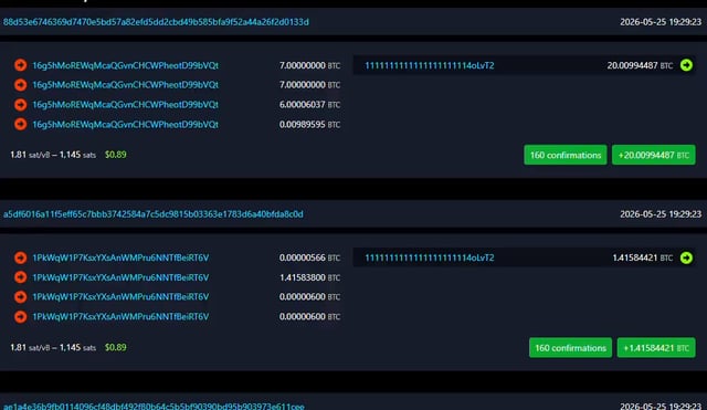 The image showcases two spreadsheets filled with cryptocurrency information displayed side by side against a dark blue background. The first spreadsheet contains two instances, each labeled with numbers like "1", "2", or "3". The second spreadsheet also has text elements including the phrases "107 BitCOIN WORTH $8.3 MILLION just VANISHED FOREVER." and "5M just vanishes.", providing a wealth of information about this particular cryptocurrency, such as its value, history, and details about how it was acquired or transferred. The image offers a detailed view into the world of Bitcoin and its transactions, giving viewers insight into the complexities involved in cryptocurrency management and trading.