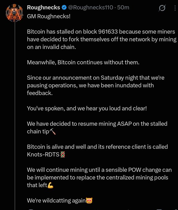 The image shows a tweet from @Roughnecks110 announcing they are resuming mining on the stalled Bitcoin chain at block 961633, where some miners forked onto an invalid chain, referencing the Knots-RDTS client and plans to mine until a POW change replaces centralized pools. This relates to the post's concern about mining centralization, as Roughnecks' response frames their solo mining ("wildcatting") as resistance to the dominance of large mining pools controlling nearly all network hashrate.