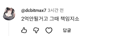 A Korean social media comment by user @dcbitmax7 from 3 hours ago reads '2억안될거고 그때 책임지소' (It won't reach 200 million, take responsibility then), with like, dislike, heart, and reply buttons.