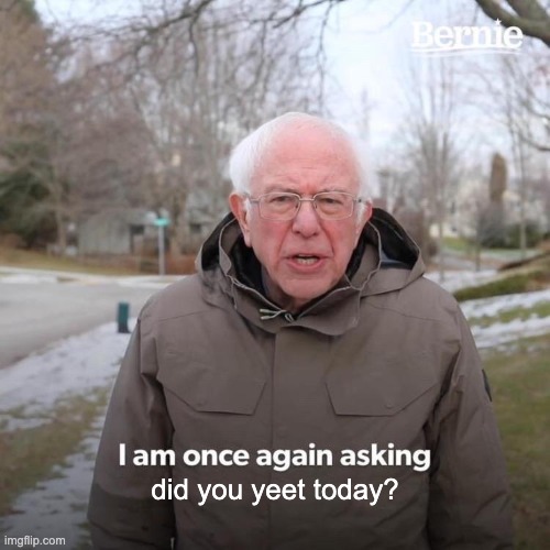 A meme featuring Bernie Sanders outdoors in a winter jacket, with overlaid text reading 'I am once again asking did you yeet today?'