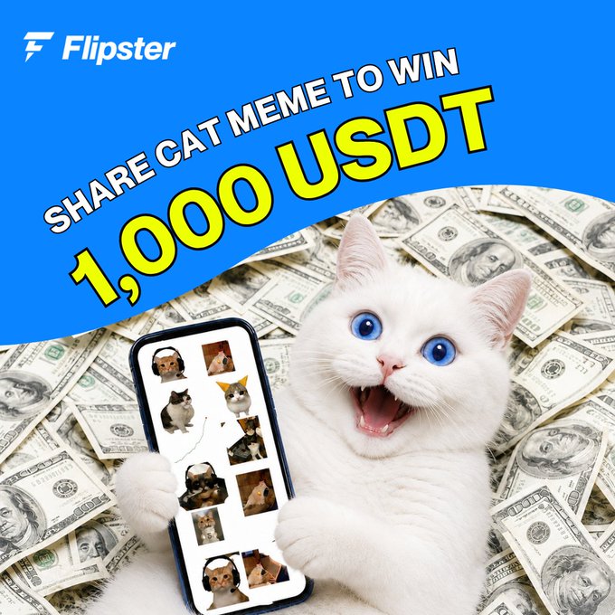 A promotional graphic for Flipster's "Share Cat Meme to Win 1,000 USDT" contest features a surprised white cat with striking blue eyes holding a smartphone filled with cat memes, all set against a backdrop of scattered US dollar bills. The text and imagery align with the post's call to action, using a viral cat meme aesthetic to attract participants to share memes for a chance to win the 1,000 USDT prize.