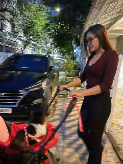 A woman in a maroon top and sunglasses walks along a cobblestone street at night, pushing a pet stroller containing a small dog wearing a pink harness, with a parked car visible behind her.