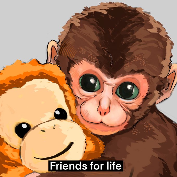 A digital illustration shows a cute monkey character embracing a smiling plush monkey toy, with the caption 'Friends for life' at the bottom.