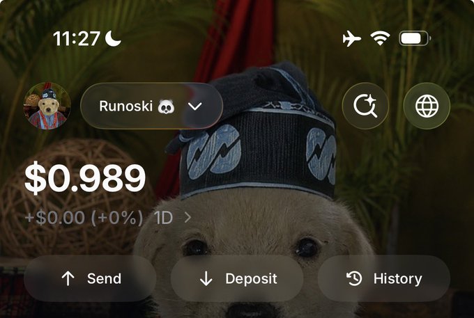 A smartphone screen displays a crypto wallet app showing a balance of "$0.989" with no change ("+0.00 (+0%)") in the "Runoski" account, set against a background image of a dog wearing a patterned cap. The modest balance falls far short of the user's goal to end July with at least 500 USDC in their wallet.