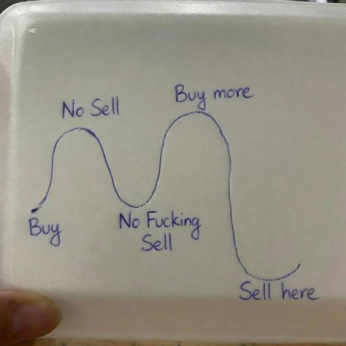 A hand-drawn line graph on a white styrofoam container with labels 'Buy', 'No Sell', 'No Fucking Sell', 'Buy more', and 'Sell here' illustrating an emotional trading cycle.