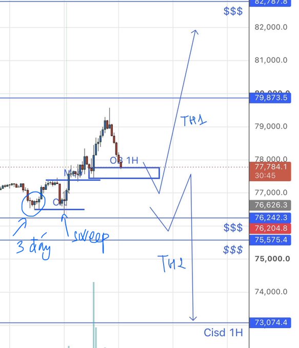 A trading chart displays BTC price action with annotations including "3 day sweep," "TW1," "TW2," and "Cisd 1H," showing key price levels around 73,074 to 82,787.
