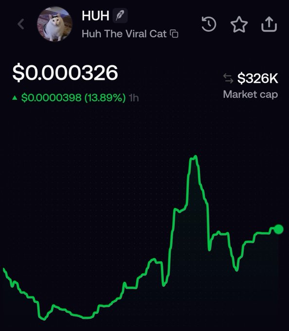 A cryptocurrency chart for the token 'HUH' (Huh The Viral Cat) displays a green price graph with a current price of '$0.000326', up 13.89% in one hour, and a market cap of '$326K'.