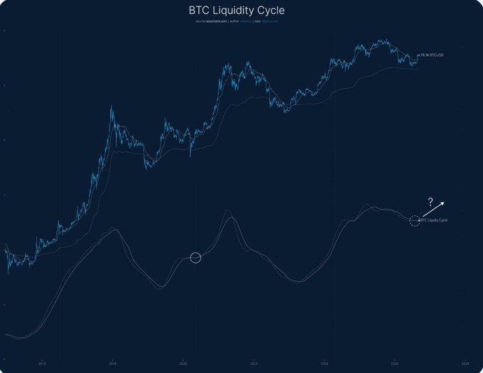 A dark-themed financial chart titled "BTC Liquidity Cycle" displaying Bitcoin price trends from 2024 to 2026 with overlaid liquidity cycle indicators.