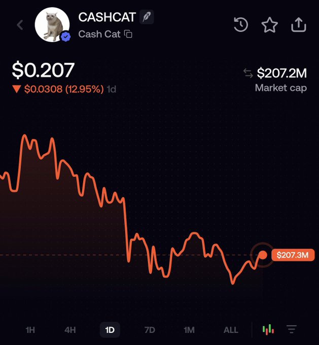 A chart of the CASHCAT ($0.207) meme token showing a 12.95% daily decline over 1D with a $207.2M market cap, illustrating the user's point about lagging NFT/token momentum as buyers remain cautious pending resolution of the delisting concerns.