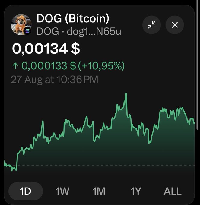 A cryptocurrency price chart for DOG (Bitcoin) showing a current value of $0.00134, up $0.000133 (+10.95%) as of 27 Aug at 10:36 PM, with a green 1D performance line graph.