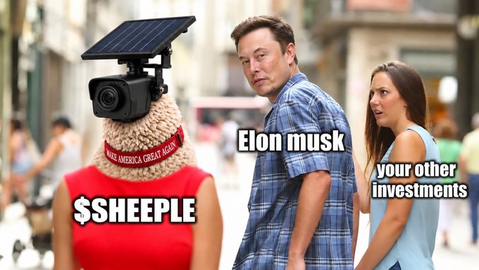 A meme showing a 'Distracted Boyfriend' photo where Elon Musk turns to look back at a '$SHEEPLE' character wearing a MAGA hat and a security camera on its head, labeled 'your other investments'.