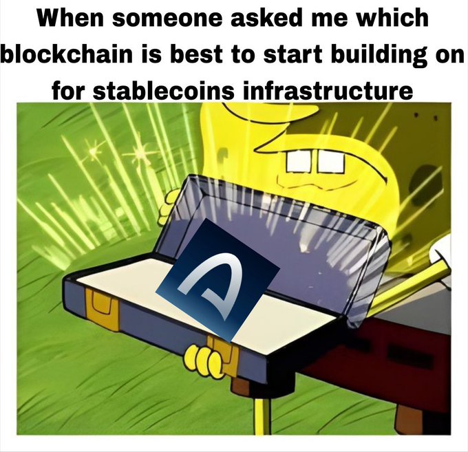Meme image with text 'When someone asked me which blockchain is best to start building on for stablecoins infrastructure', featuring a cartoon character holding a briefcase containing the Aptos blockchain logo.