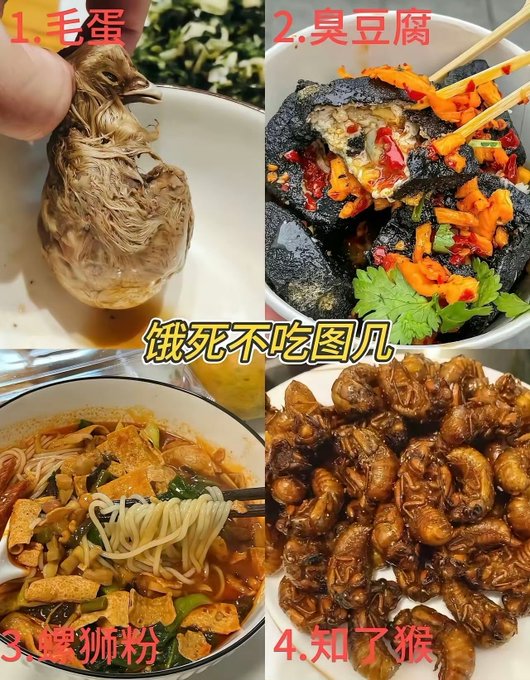 A Chinese meme image showcasing four panels of unusual or unappetizing foods—labeled 毛蛋 (hairy egg), 臭豆腐 (stinky tofu), 螺蛳粉 (snail noodles), and 知了猴 (cicada nymphs)—with the text '饿死不吃图八'.