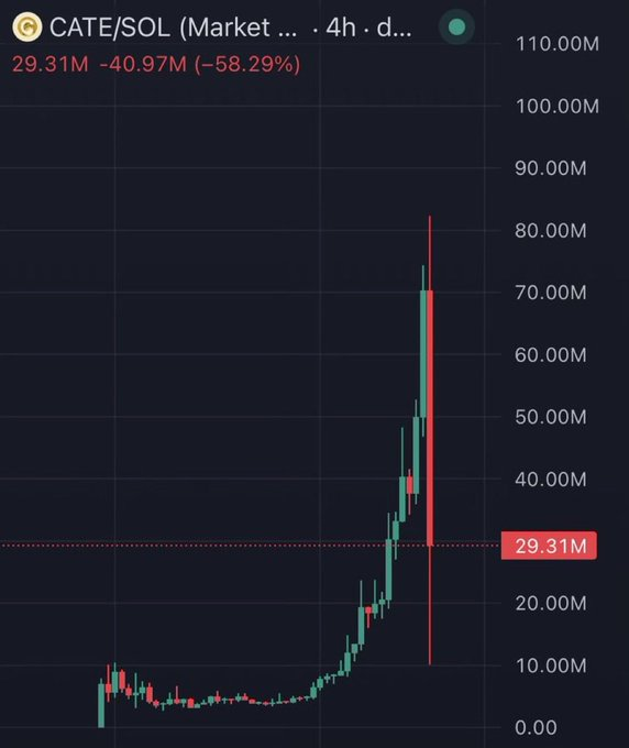 The image shows a sharp upward spike followed by a significant drop in the CATE/SOL market, with the current value at 29.31M. This chart may be presented as evidence of "the next Dogecoin" based on its volatile price action.