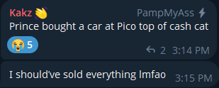 A Discord message from user "Kakz" reads "Prince bought a car at Pico top of cash cat" with a shocked emoji and a reaction of 5, followed by a reply "I shouldve sold everything lmfao," humorously lamenting a missed sell opportunity in $CASHCAT following news of "Prince" buying a car.