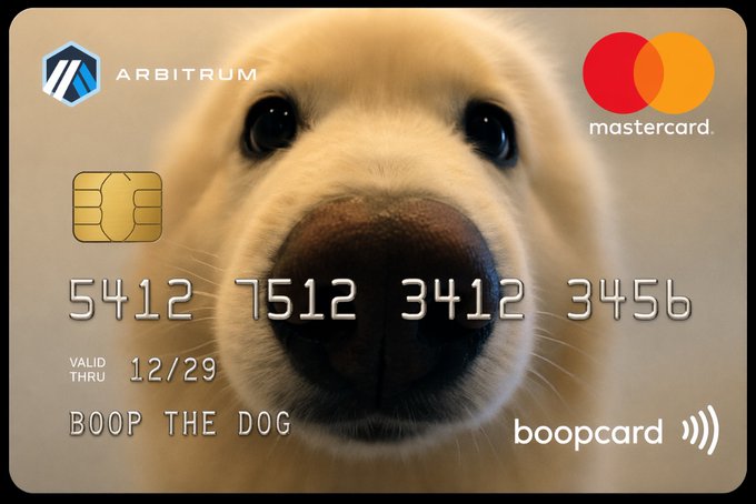 The image features a white dog's face with black eyes, nose, and mouth, positioned centrally against a gray background. Below the dog's head, there are two credit card numbers displayed - 54212 12/29/19 and 344556 3/4/18. The text "boopcard" is also present in the image. The caption below the image reads: "Unlimited booping is here. Powered by Arbitrum."