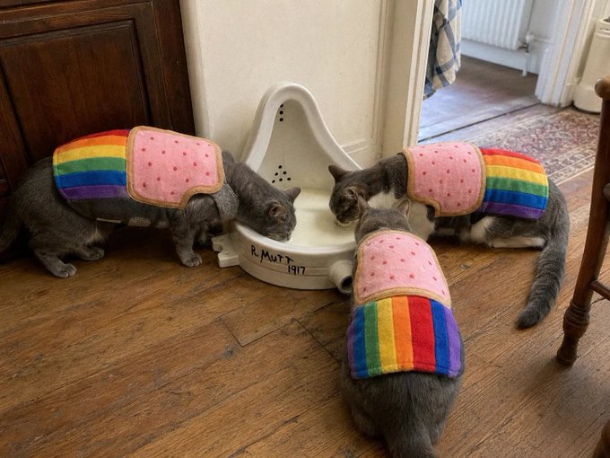 Four cats wearing colorful rainbow and pink harnesses are gathered around a white cat-shaped water fountain labeled "R.Mutt 1917" on a wooden floor.