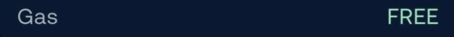 A dark banner displaying "Gas" on the left in gray and "FREE" on the right in green text, visually reinforcing the message that Slush offers gas-free stablecoin transfers.