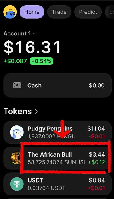 The image shows a crypto portfolio screenshot displaying $16.31 in total, with a highlighted token called "The African Bull" (SUNUSI) showing a current value of just $3.44, visually reinforcing the post's claim about the dramatic loss in value for early SUNUSI investors.