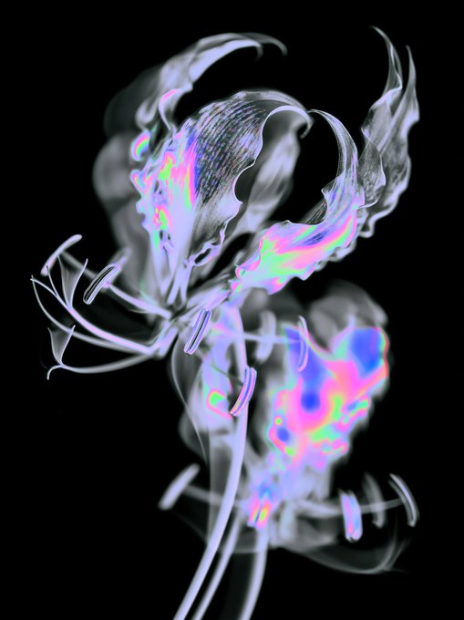 An abstract digital illustration featuring translucent, iridescent flower-like forms with rainbow gradients against a black background.