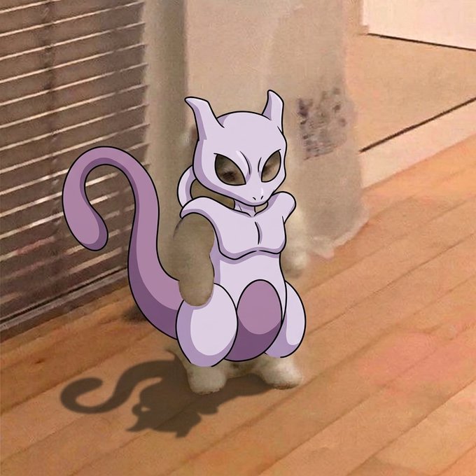 Meme-style image of a cat edited to appear as the Pokémon Mewtwo, standing on a wooden floor with a purple tail and shadow.