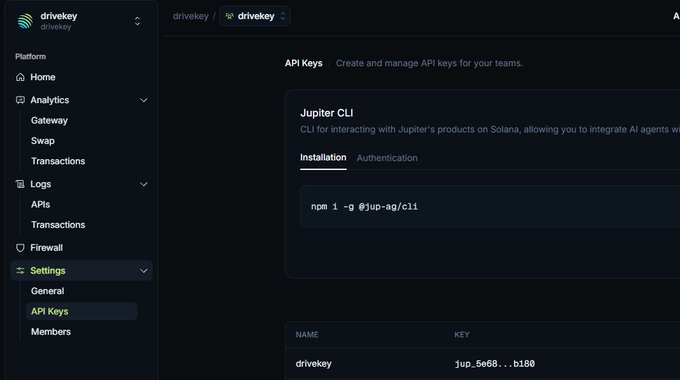 A screenshot of the drivekey dashboard showing the 'API Keys' section in Settings, featuring the 'Jupiter CLI' installation instructions with the command 'npm i -g @jup-ag/cli' and an API key entry for 'drivekey'.