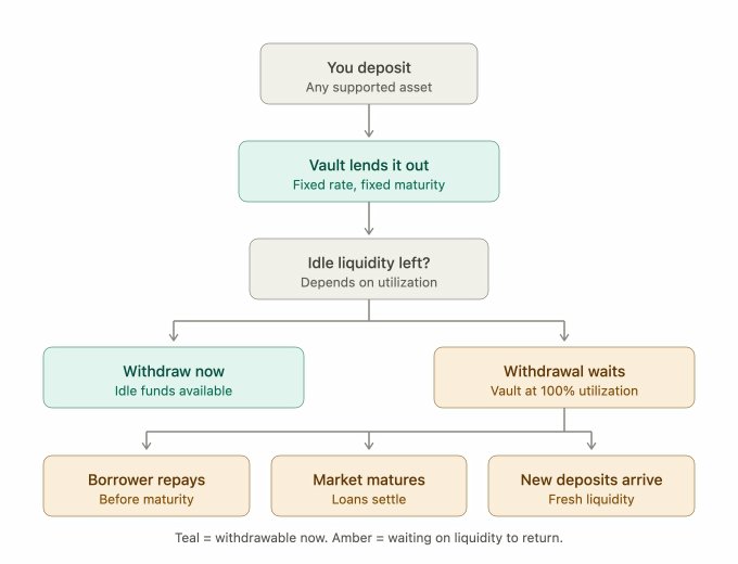 A flowchart diagram explaining a vault's withdrawal process, starting with 'You deposit' any supported asset, where the vault lends it out at a fixed rate, followed by branches for 'Withdraw now' (teal) or 'Withdrawal waits' (amber) based on liquidity.