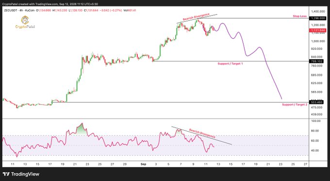 A TradingView chart for ZECUSDT shows a 'Bearish Divergence' pattern on the CryptoPatel analysis, with price targets marked including a Stop Loss near 1,306 and Support/Target zones around 769 and 503.
