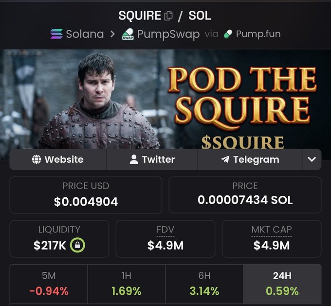 The image shows a crypto trading dashboard for the token **$SQUIRE** on Solana via PumpSwap/Pump.fun, displaying a price of **$0.0004904** (0.00007434 SOL), market cap of **$4.9M**, and liquidity of **$217K**, with 24-hour performance up **0.59%**.

It supports the post's claim of $SQUIRE "holding extremely well" during the market flush, as the token shows positive gains across 1H (+1.69%), 6H (+3.14%), and 24H (+0.59%) timeframes despite broader market turbulence.