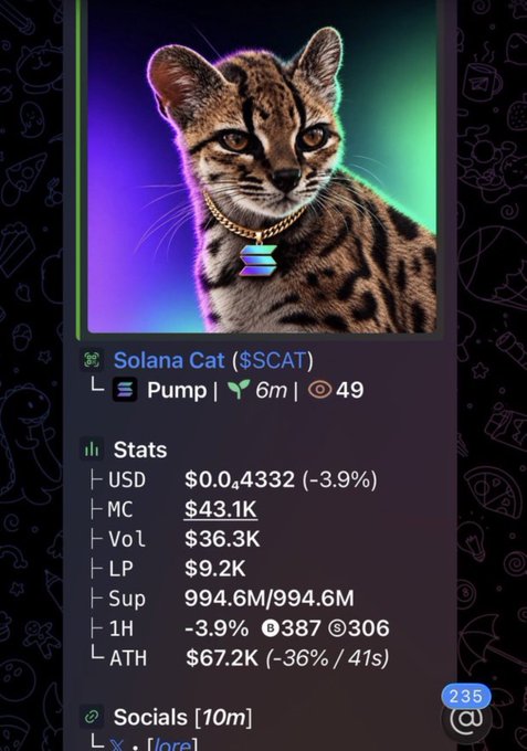 A cryptocurrency dashboard shows a Solana Cat meme image with the ticker '$SCAT', a market cap of '$43.1K', and a price of '$0.0,4332'.