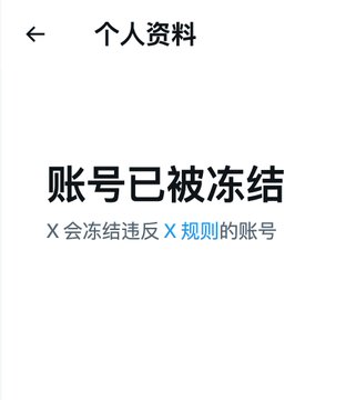 The image shows a Chinese-language X (formerly Twitter) notification page displaying the message "账号已被冻结" (Account has been frozen) under the "个人资料" (Profile) section, with text stating "X 会冻结违反 X 规则的账号" (X will freeze accounts that violate X rules). This relates to the accompanying post about Biden's son's cryptocurrency project LAPTOP, whose social media account was frozen by X officials amid a dramatic price crash from a market cap of 315.4 billion to 84 million, adding to concerns about the project's troubled history.