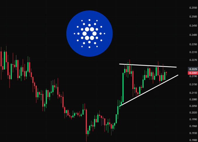 A candlestick chart for ADA (Cardano) at $0.2207 displays a bullish pennant pattern on the 4H timeframe, with converging trendlines forming a triangle after a strong upward move from the recent low near $0.19. The blue Cardano logo is overlaid in the upper portion of the chart.