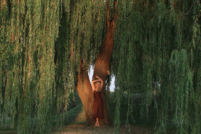 A young woman in a dark red dress stands embracing the trunk of a large willow tree surrounded by cascading green leaves in golden sunlight.