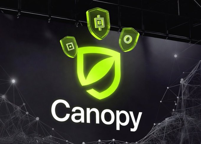A glowing green Canopy logo featuring a shield and leaf design with padlock and circle icons appears on a dark digital backdrop with network nodes. The text "Canopy" is prominently displayed below the emblem, representing the $CNPYNetwork project mentioned in the morning announcement about learning and joining their campaign.