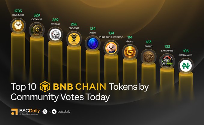This image is a bar chart titled "Top 10 BNB CHAIN Tokens by Community Votes Today," presented by BSC Daily. It displays the top 10 tokens ranked by community votes, with the leaderboard showing: KINKAJOU (1703), CATALYST (329), Wiki cat (269), BNBGOAT (266), Aidefi (134), ZUBA THE SUPER DOG (134), Gracia (114), Casino (123), SAFEMARS (103), and StakeNara (105), with each token represented by its circular logo atop gold 3D bars against a dark background.