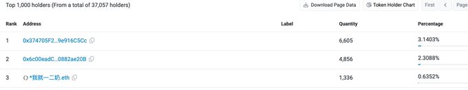 A screenshot showing a 'Top 1,000 holders' ranking table with columns for Rank, Address, Label, Quantity, and Percentage, listing addresses like '0x374705F2...9e916C5Cc' and '0x6c00eadC...0882ae20B'.