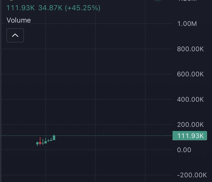 A cryptocurrency or stock chart displays volume bars with the current value at 111.93K, showing a +45.25% gain (34.87K), consistent with the post's bullish sentiment about a position that feels promising but the poster is hesitant to reveal more details yet.