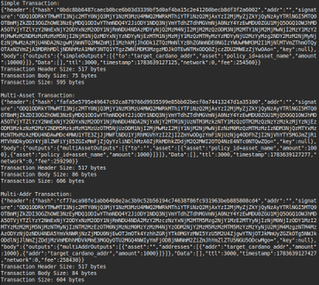 Terminal/console output showing raw transaction data including Simple, Multi Sender, and Multi Address transactions with hex strings, amounts, and metadata.