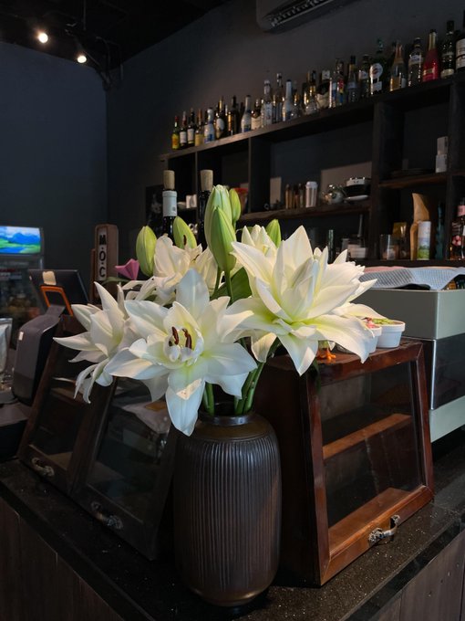 A vase of white lilies sits on a dark wooden bar counter, surrounded by wooden display cases and a backdrop of liquor bottles on shelves, with a "MONK" branded bottle visible in the background. The serene, intimate setting of the bar—likely a quiet spot for reflection—serves as a fitting visual metaphor for the post's theme of finding a peaceful environment to brainstorm and indulge in unrealistic dreams amidst a struggling crypto market.