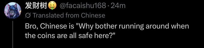 A tweet from user @facaishu168 translated from Chinese, reading: 'Bro, Chinese is "Why bother running around when the coins are all safe here?"'