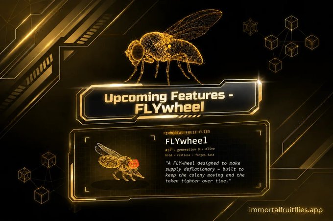 A digital graphic advertises an upcoming feature called 'FLYwheel' for the app 'immortalfruitflies', depicting a golden 3D wireframe fly with the text: 'A FLYwheel designed to make supply deflationary - built to keep the colony moving and the token tighter over time.'