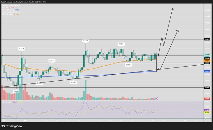 A TradingView candlestick chart of $DIA showing price consolidating around $0.125 between the 50 EMA ($0.1218) and 200 SMA ($0.1124), with hand-drawn bullish price targets of $0.145 and $0.16 marked by upward arrows, aligning with the post's bullish breakout scenario above $0.1373.