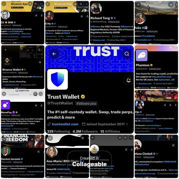 A collage of Twitter/X profile cards featuring crypto and blockchain industry accounts including CZ (BNB), Binance Wallet, Trust Wallet, Phantom, Richard Teng, MoonPay, Davinci Jeremie, Eija, and others, with a central Trust Wallet card and a 'Created in Collageable' watermark.