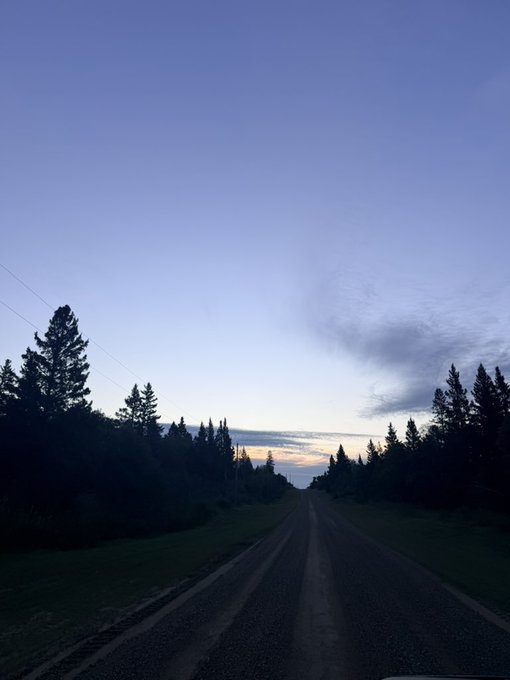 A photograph taken from a vehicle driving down a paved road at dusk or dawn, surrounded by dark silhouettes of pine trees against a cloudy blue sky.