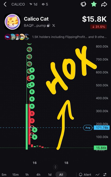 A mobile app screen shows a token called 'Calico Cat' with a price of $15.8K and a 31.5% drop, with yellow handwritten text reading 'HOY' and an arrow pointing upward at the chart.