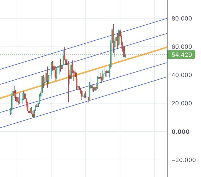 This is a candlestick price chart within an ascending channel (orange trendline with blue parallel boundaries), currently showing a value of **54.429**. The price has pulled back sharply from highs near 80, consistent with the post's mocking "goodbye to everyone who couldn't buy the hype" — suggesting late buyers chasing the top near 80 are now facing a steep decline back toward the channel's lower support (~25–30).