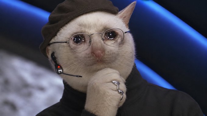 A white cat wearing a brown beanie, round wire-rimmed glasses, and a headset microphone, posed thoughtfully with its paw near its chin.