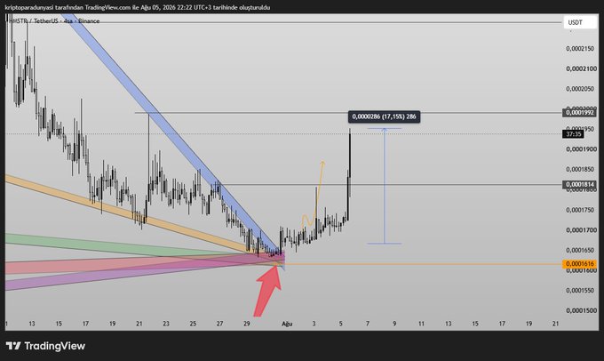 A TradingView analysis of HMSTR/USDT on Binance showing a breakout from a major trendline confluence around the 0.0001616 support level, with price rallying approximately 17.19% toward the 0.0001990 resistance zone. The chart's highlighted candles and annotated breakout support the poster's bullish sentiment about the altcoin's momentum.