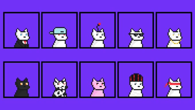 A purple background features two rows of pixel art cat characters with various accessories including hats, sunglasses, and bandanas.