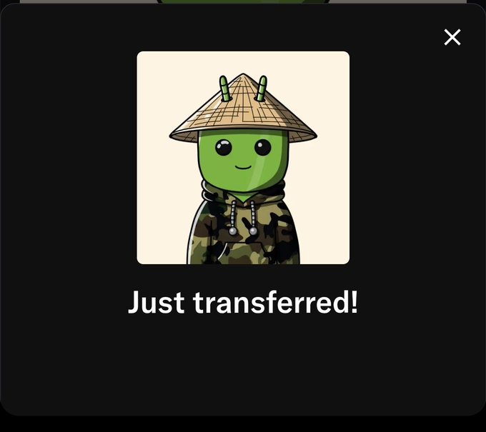 A digital confirmation screen showing a green cartoon mascot character wearing a bamboo hat and camouflage hoodie, with the text 'Just transferred!'